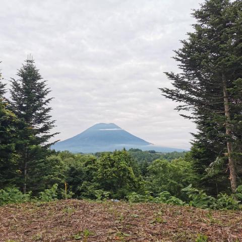 370335282_878581317070802_2879593361484368667_n