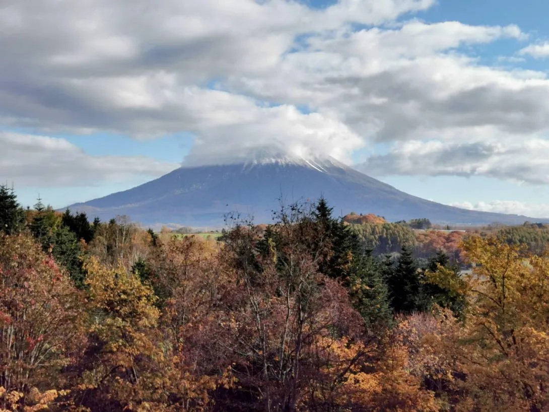 375199536_3593952380885552_118089950467477164_n