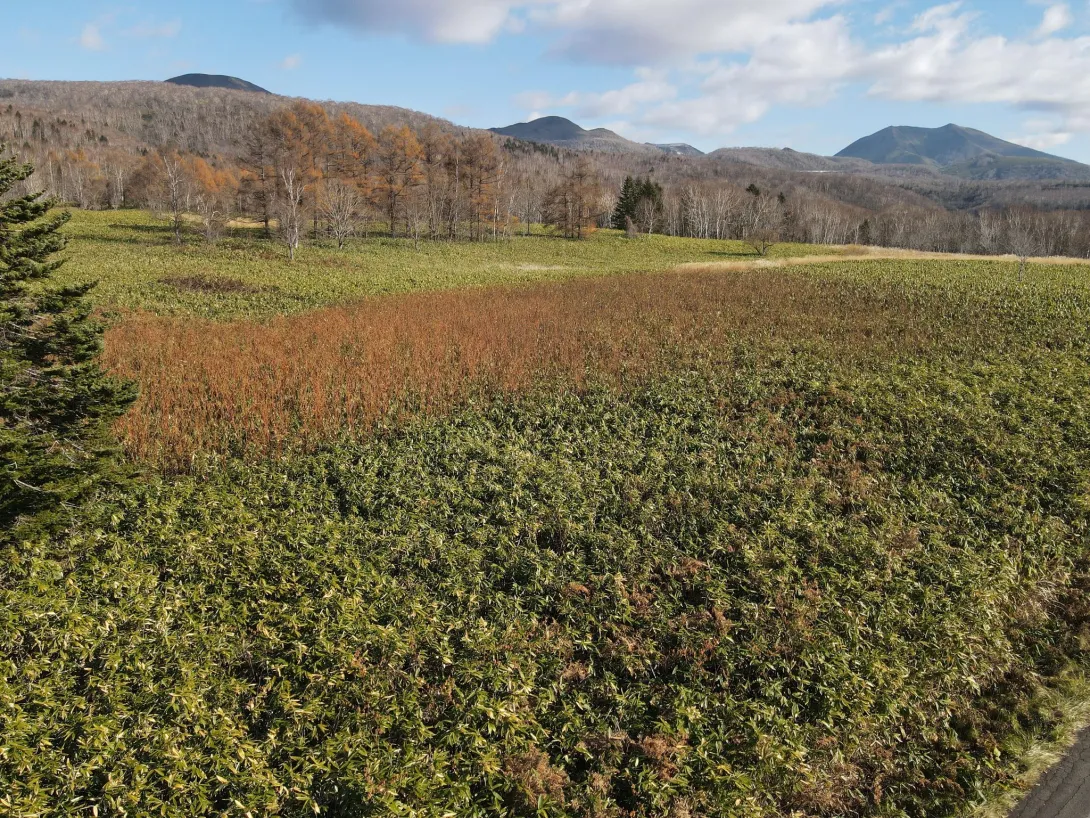 Joseph Frick Land #5