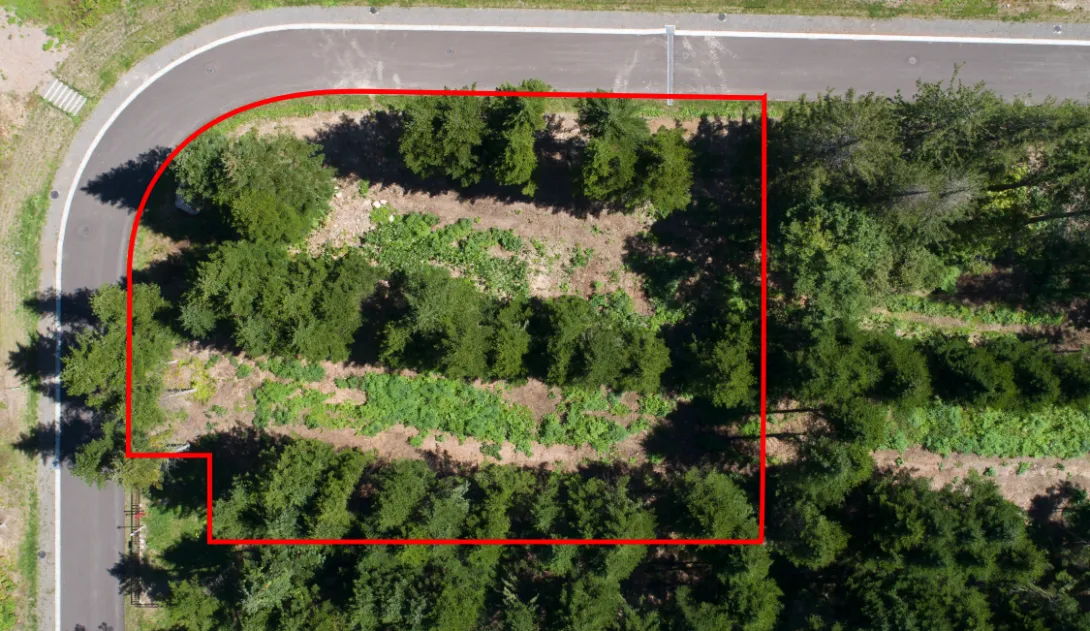 Screen Shot 2022-11-28 at 2.16.04 PM